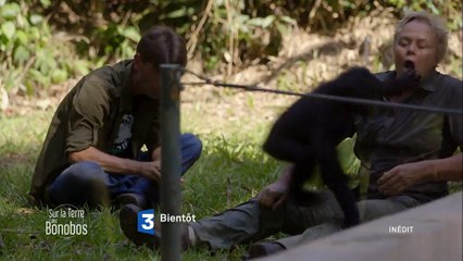 Muriel Robin et Chanee sur la terre des bonobos (Teaser 3)