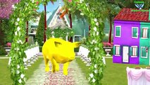 Animals Finger Family Rhymes Collection | 3D Animation Animals Nursery Rhymes Collection
