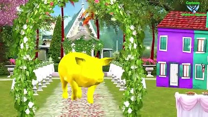 Animals Finger Family Rhymes Collection | 3D Animation Animals Nursery Rhymes Collection