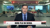 Bird flu virus found in goose near Han River in Seoul