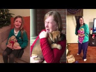The Best Puppy Surprise for Kids 2017,better surprise present for someone you love,than getting a cute puppy!