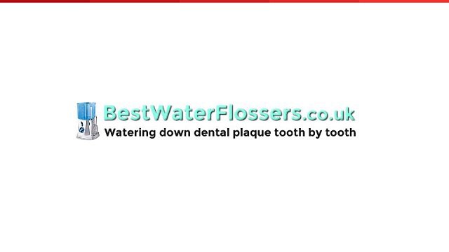 Electric Dental Flosser