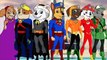 JUSTICE LEAGUE #PAWPATROL SUPERHEROES w SUPERMAN CHASE PAINTING #ANIMATION