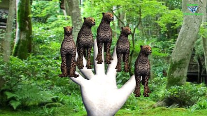 Animal Finger Family - 3D Nursery rhymes Song | Lion And cheetah Animation for Children