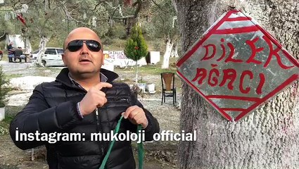 Mizahi Referandum - Mükoloji