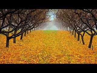 Surah Imran Ibrahim Jibreen Part 1