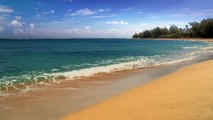 KAUAI - HAENA BEACH North Shore #81 HD Hawaii Beaches Ocean Waves beach sounds Hawaii video free