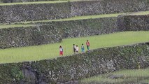 El éxodo de la juventud filipina pone en riesgo a los milenarios arrozales en Batad
