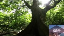 Margalla Hills National Park Short Documentary in Urdu