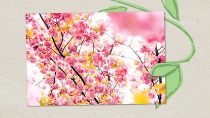 Spring into Spring With Blue Light Dental