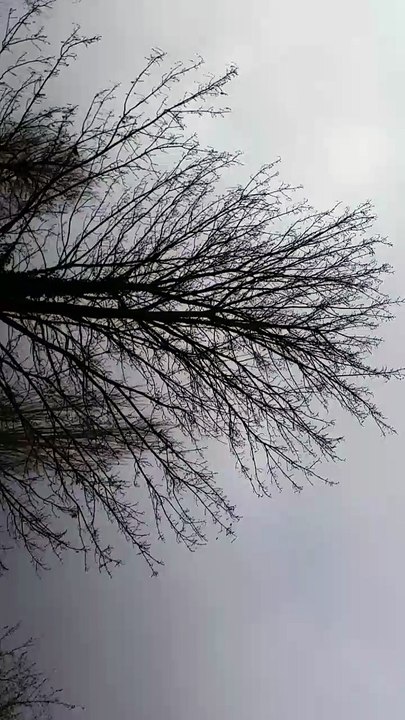 Vue du jardin