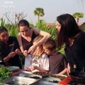 Angelina Jolie cuisine des araignées et des scorpions avec ses enfants