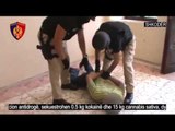 Kapen me 15 kg kanabis dhe 0.5 kg kokainë, arrestohen 2 persona në Shkodër