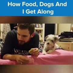 Funny Video Dog and Man - Must Watch Video - How Food , Dogs And I Get Along? - whatcha lookin' at?