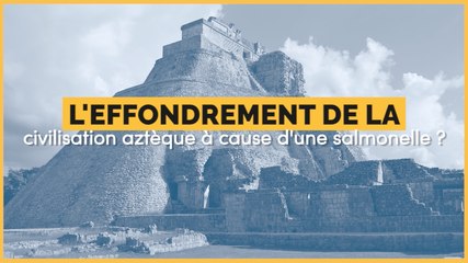 Une salmonelle à l'origine de la disparition de la civilisation aztèque