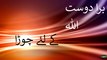 Bura dost Allah ke liye chora Shaykh Zulfiqar Ahmad