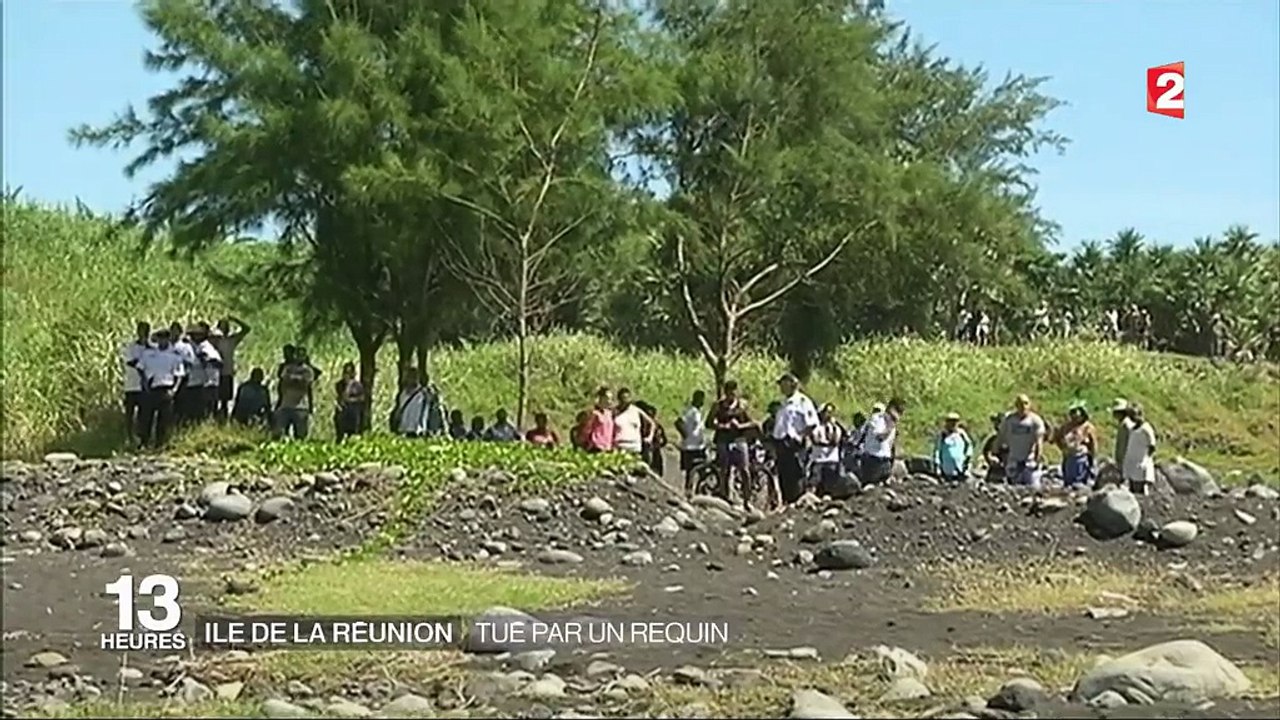 Île de la Réunion : un bodyboarder de 26 ans tué par un requin