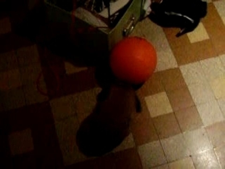 IMGP1089