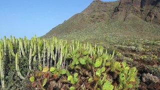 Tenerife et le Pic du Teide - Hiver 2017 - Diaporama