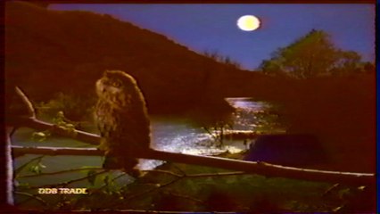 pub chaussures decathlon flex