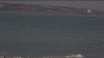 Havaların Isınması Göçmen Kuşlara Yaradı