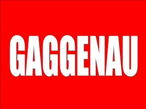 Okmeydanı Gaggenau Servisi (2I2) 2O2 62 34 ) 2O2 62 35 Okmeydanı servis