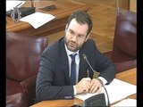 Roma - Audizioni su pdl recanti istituzione del Comitato nazionale (21.02.17)