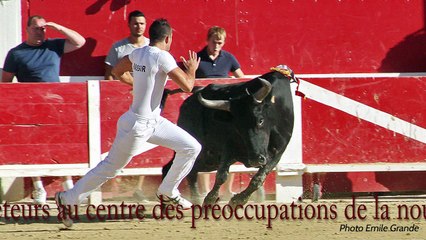 Serge Colombaud : « sensibiliser les jeunes publics à la course camarguaise »