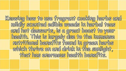 Enormous Health Benefits Of Cooking Herbs And Edible Weeds That Drink In The Sunlight