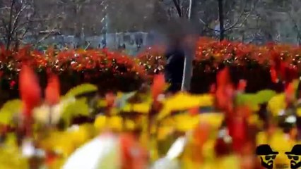 คลิปแกล้งคน ตกใจระเบิด ตลก ฮาๆ - New Funny Videos Pranks 2017