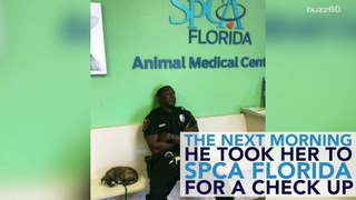 Police Officer Rescues Puppy and Sleeps at Her Side
