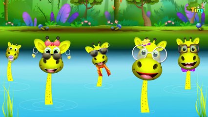 Finger Family | Nursery Rhymes for Children | Daddy Finger Kids Songs