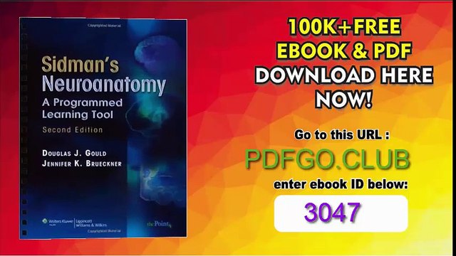 Sidman's Neuroanatomy A Programmed Learning Tool (Point (Lippincott Williams Wilkins)) [Spiral-bound]