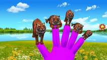 Animals Cartoons Finger Family Children Nursery Rhymes || Animal Children Nursery Rhymes C