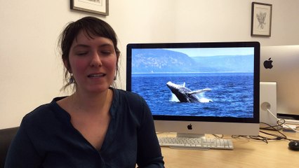 Quitter les eaux canadiennes froides pour les eaux des Caraïbes