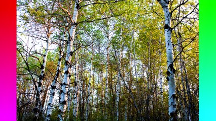 10 Facts You Might Not Know About North Dakota // QuickTops