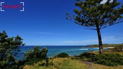 Australian Waitress Heroically Saves Restaurant From Giant Lizard