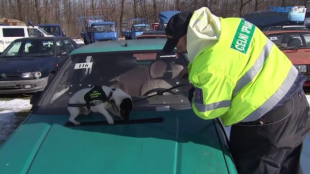 170208-402-007_UTULKOVO_20170222