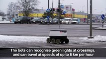 Estonian robots make food deliveries