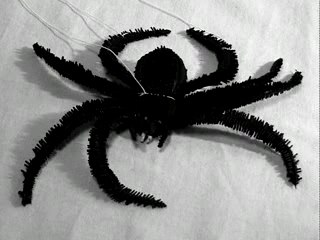 101 Ways To Kill A Spider