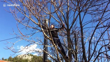 Kitty Cat Rescue, or kitten refuses to let the tree and when help arrived