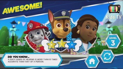 paw patrol - all star pups - muddy paws