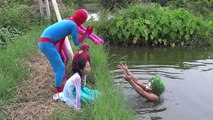 ENTERRADO VIVO Spiderman vs Congelado Elsa Rosa Bebé Spidergirl Bromista de la Familia de la Diversión Superhéroe movi