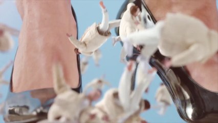 SHY LUV - SHOCK HORROR ft. JONES