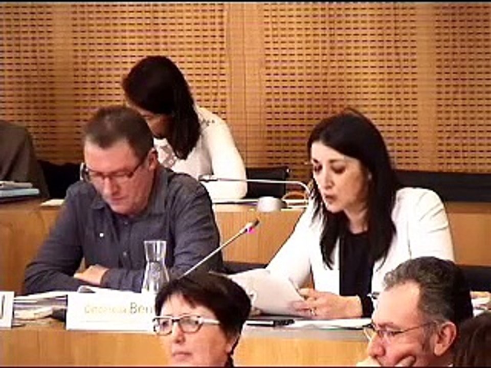 Extrait 2 - Intervention de Cinderella Bernard au Conseil Départemental
