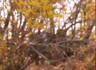 Текущая ситуация, реформирование и концепция развития Украины