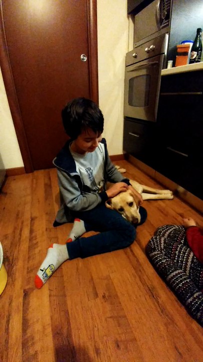 Adoro i cani