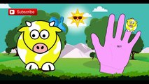Ok Blu Vaca Dedo De La Familia | Canción Animal De Dibujos Animados Dedo De La Familia | Español Canciones Infantiles