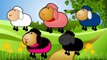 Sheep Finger Family | Nursery Rhymes Farmees | Kids Songs | Baby Videos