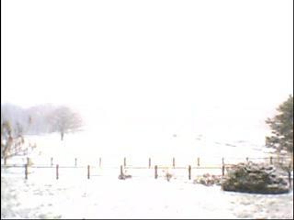cry  sous la neige